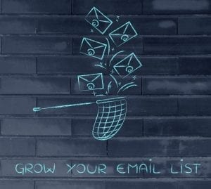 "building your email list"